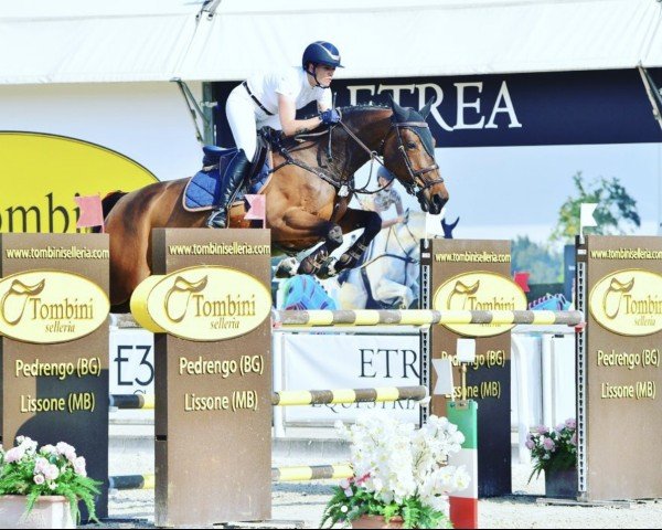 Springpferd Patchina van't Merelsnest (Belgisches Warmblut, 2015, von Kannan)