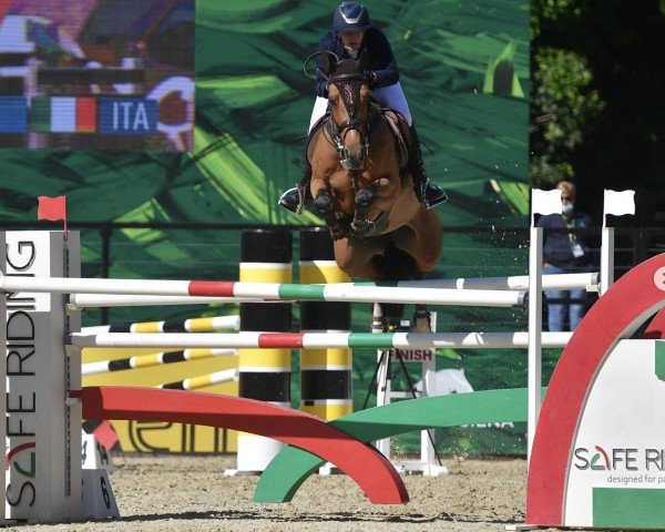 jumper Infuria P&P (KWPN (Royal Dutch Sporthorse), 2013, from Cascadello)