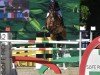 jumper Infuria P&P (KWPN (Royal Dutch Sporthorse), 2013, from Cascadello)