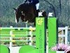 broodmare Thara du Ru (Selle Français, 2007, from Argentinus)