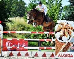 jumper Erasco J (KWPN (Royal Dutch Sporthorse), 2009, from Tangelo van de Zuuthoeve)