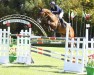 Springpferd Jus de Krack (Belgisches Warmblut, 2009, von Ad Unaniem)