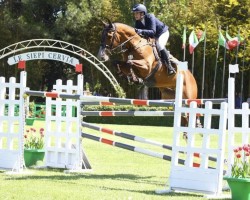 jumper Jus de Krack (Belgian Warmblood, 2009, from Ad Unaniem)