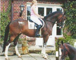 Pferd Caliente Coraon (Holsteiner, 2001, von Carpaccio)