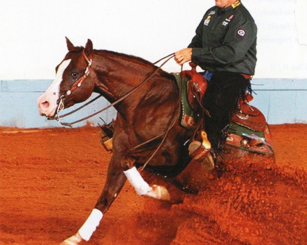 horse Gunnatrashya (Quarter Horse, 2006, from Colonels Smoking Gun)