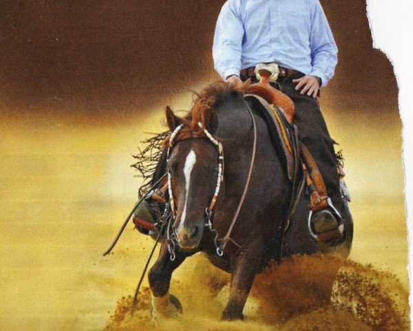 horse Genuine Lil Ruf (Quarter Horse, 2005, from Lil Ruf Peppy)