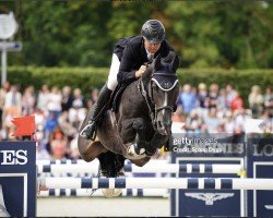 Springpferd Vitot du Chateau (Selle Français, 2009, von Toulon)