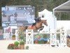 broodmare Vendome D'Ick (Selle Français, 2009, from Arko III)