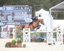 broodmare Vendome D'Ick (Selle Français, 2009, from Arko III)