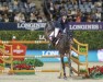 Springpferd Arioto du Gevres (Selle Français, 2010, von Diamant de Semilly)