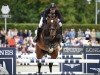 Springpferd Espoir des Merisiers (Belgium Sporthorse, 2010, von Qody de St Aubert)