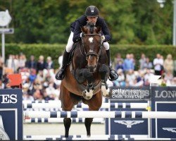 jumper Espoir des Merisiers (Belgium Sporthorse, 2010, from Qody de St Aubert)