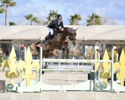 Springpferd Candy Day (Westfale, 2010, von Comme il Faut)