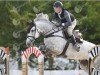 jumper My Life Be Like (KWPN (Royal Dutch Sporthorse), 2017, from Zirocco Blue)