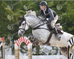 jumper My Life Be Like (KWPN (Royal Dutch Sporthorse), 2017, from Zirocco Blue)