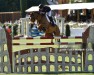 jumper Tonio La Goutelle (Selle Français, 2007, from Ogrion des Champs)