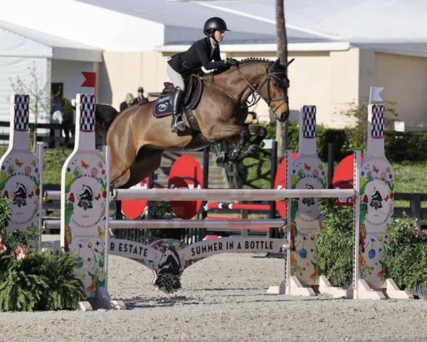 jumper Idal del Maset (Spanish Sport Horse, 2015, from Indret del Masset)