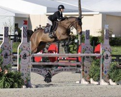 jumper Idal del Maset (Spanish Sport Horse, 2015, from Indret del Masset)