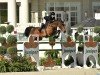 jumper Prianti van het Mikkenhof (Belgian Warmblood, 2015, from Thunder van de Zuuthoeve)