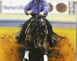 horse Chexamillion (Quarter Horse, 2006, from Nu Chex To Cash)