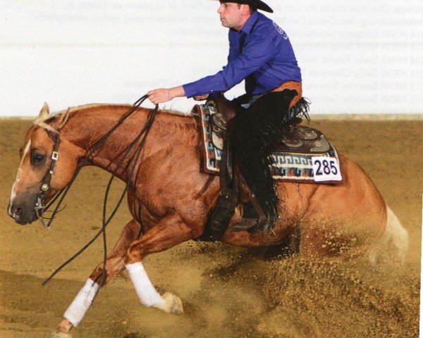 horse Awesome Pale Boy (Quarter Horse, 2005, from Col Awesome Socks)
