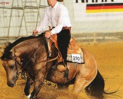 Deckhengst Out Dunit (Quarter Horse, 1996, von Hollywood Dun It)