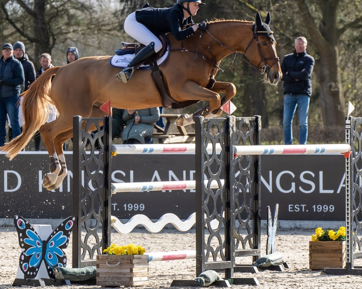 jumper Tamuin LS (Mexican Riding Horse, 2014, from Telstar de la Pomme)