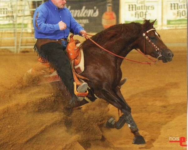 Pferd Little Whiz Chic (Quarter Horse, 2003, von Topsail Whiz)