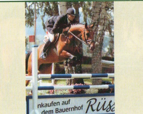 broodmare Last Minute (Hanoverian, 1998, from Landsieger I)