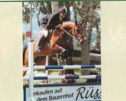 broodmare Last Minute (Hanoverian, 1998, from Landsieger I)