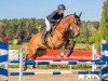 jumper Bonita 553 (Hanoverian, 2017, from Brantzau)
