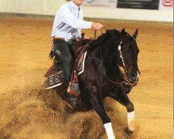 horse Rooster Nic (Quarter Horse, 2006, from Gallo Del Cielo)