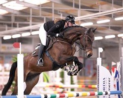 jumper Cocarambo PS (Oldenburg show jumper, 2019, from Conthargos)
