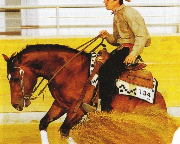 horse RS Rambolena (Quarter Horse, 2001, from Spat Olena)