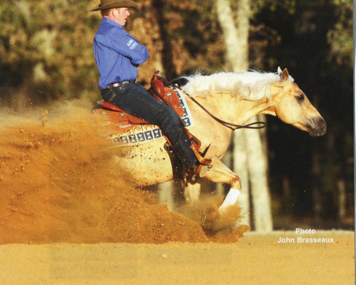 Deckhengst Sharp Dressed Shiner (Quarter Horse, 2008, von Shining Spark)