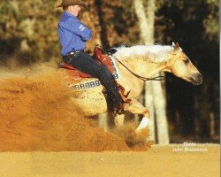 stallion Sharp Dressed Shiner (Quarter Horse, 2008, from Shining Spark)