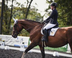 Springpferd Miss Peppermint (Deutsches Sportpferd, 2017, von Peppermint Blue)