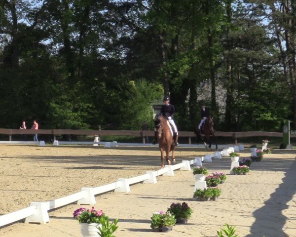 Reitturnier Wesel-Obrighoven 2025