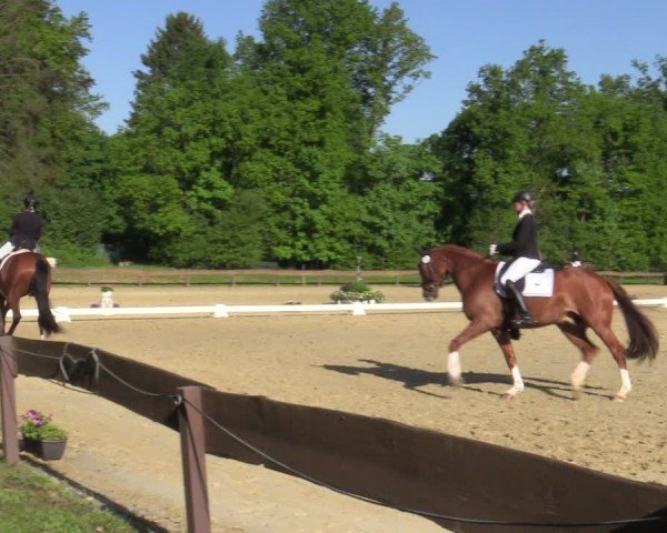 Reitturnier Wesel-Obrighoven 2025