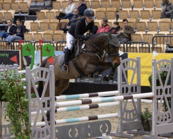 jumper Qulambo Jones (Holsteiner, 2015, from Quiran)