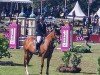 jumper Eau D'Or (Zangersheide riding horse, 2018, from Echo van het Spieveld)