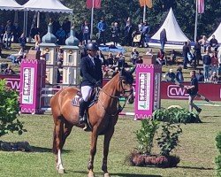 jumper Eau D'Or (Zangersheide riding horse, 2018, from Echo van het Spieveld)