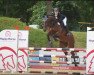 jumper Veraisa KLG (Hanoverian, 2015, from Viscount 22)