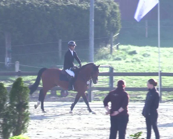 Reitturnier Looperholz 2025