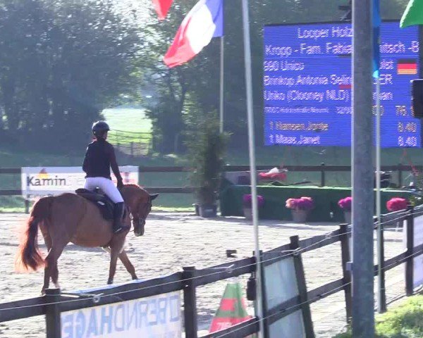 Reitturnier Looperholz 2025