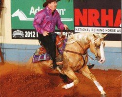 horse Wimpys Playin Smart (Quarter Horse, 2009, from Wimpys Little Step)