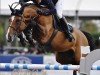 broodmare Quinta 106 (Holsteiner, 2007, from Quidam de Revel)
