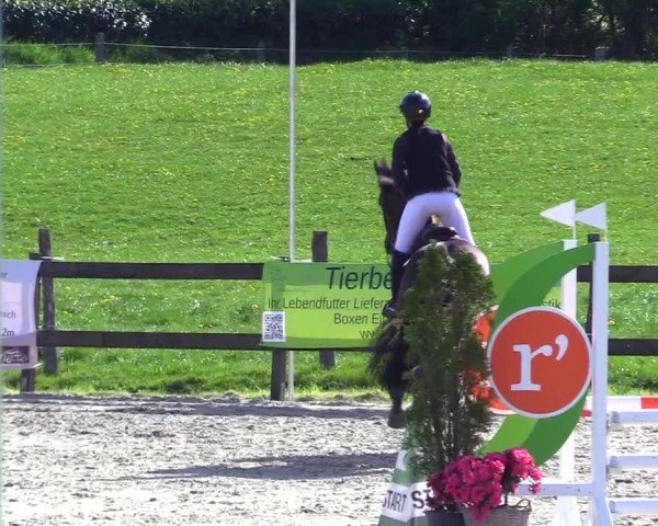 Reitturnier Looperholz 2025