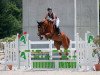 jumper Elettra Km CH (Swiss Warmblood, 2016, from Ekimov Sitte)