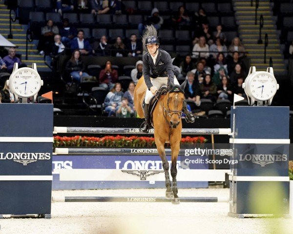 jumper Eyecatcher (KWPN (Royal Dutch Sporthorse), 2009, from VDL Harley)